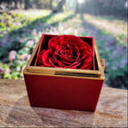 Couronne de la mort - Collier d'anniversaire pour fille avec boîte à roses