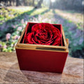 Cadeaux de Réconciliation pour Elle - Nœud d'Amour avec Boîte Cadeau Rose Rotative